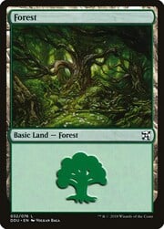 Forest · 32 032