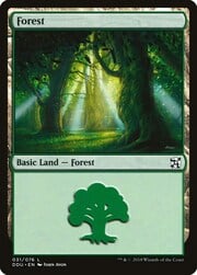 Forest · 31 031