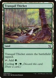Tranquil Thicket 029