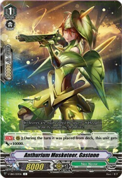 Anthurium Musketeer, Gastone Card Front