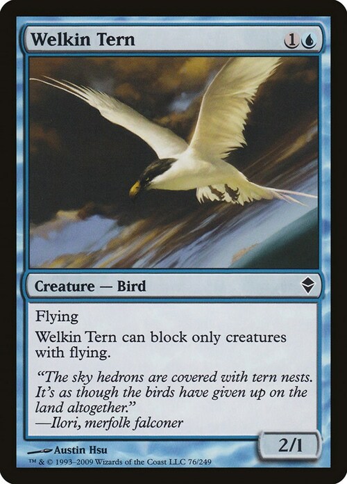 Welkin Tern Card Front