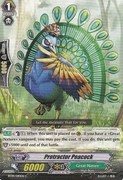 Protractor Peacock [G Format]