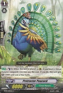 Protractor Peacock [G Format] Card Front