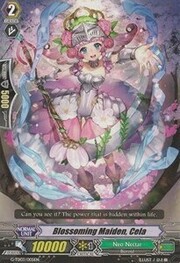 Blossoming Maiden, Cela [G Format]