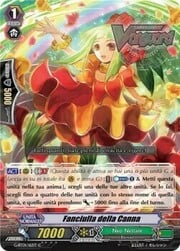 Maiden of Canna [G Format]