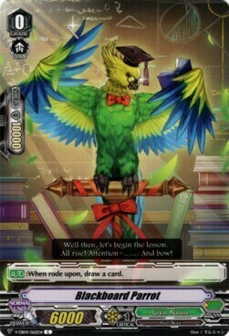 Blackboard Parrot [V Format] Card Front