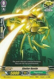 Shelter Beetle [G Format] Card Front