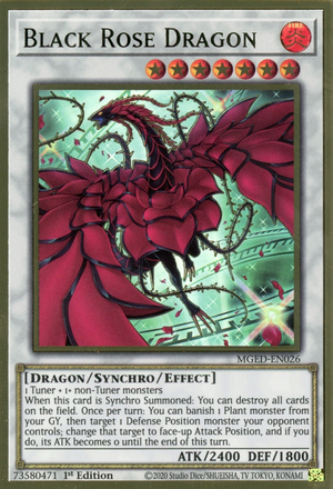 Black Rose Dragon Card Front