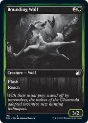 Bounding Wolf 170