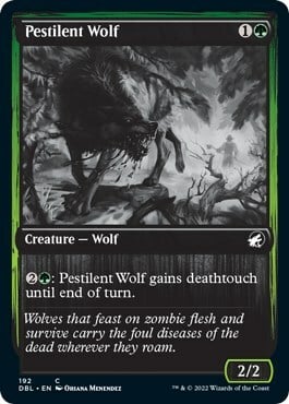 Pestilent Wolf Card Front