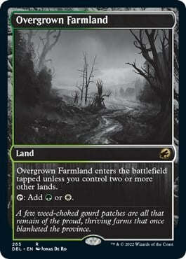 Overgrown Farmland Card Front