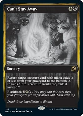 Can't Stay Away Card Front