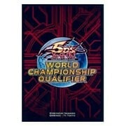 80 WCQ 2011 Sleeves