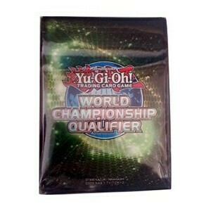 15 WCQ 2013 Sleeves