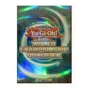 15 WCQ 2017 Sleeves