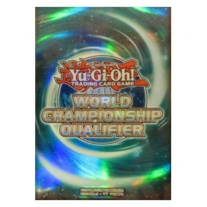80 WCQ 2017 Sleeves
