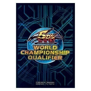 80 WCQ 2010 Sleeves