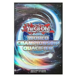 80 WCQ 2016 Sleeves