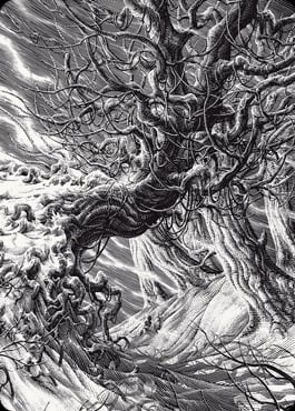 Art Series: Forest Card Front