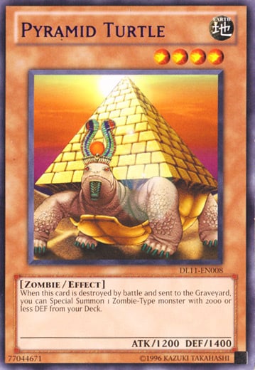 Pyramid Turtle Card Front