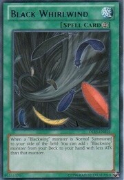 Black Whirlwind · Purple 015c-p