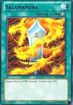 Salamandra Card Front