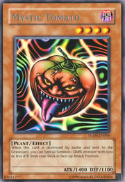 Mystic Tomato · Silver 006c-s