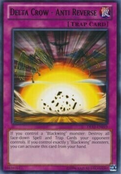 Delta Crow - Anti Reverse Card Front