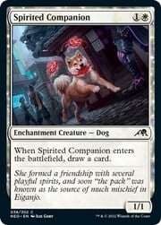 Spirited Companion 038