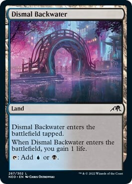 Dismal Backwater Card Front