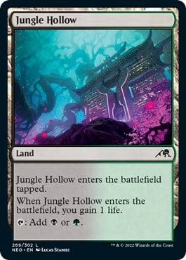 Jungle Hollow Card Front