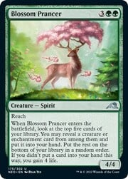 Blossom Prancer 175