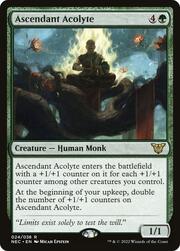 Ascendant Acolyte 024