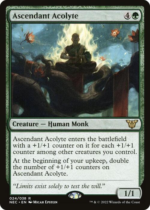 Ascendant Acolyte Card Front