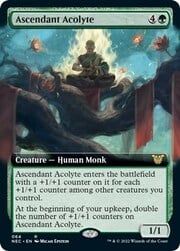 Ascendant Acolyte 064