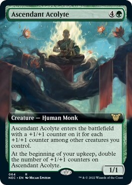 Ascendant Acolyte Card Front