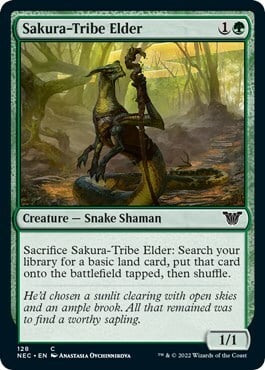 Anziano della Tribù-Sakura Card Front