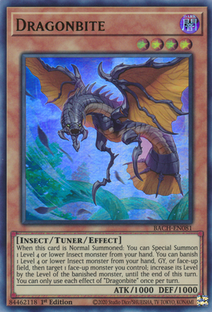 Dragonbite Card Front
