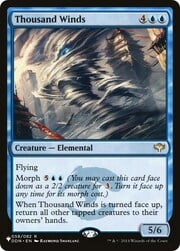 Thousand Winds CT-204890