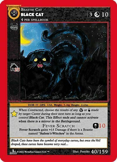 Black Cat Card Front