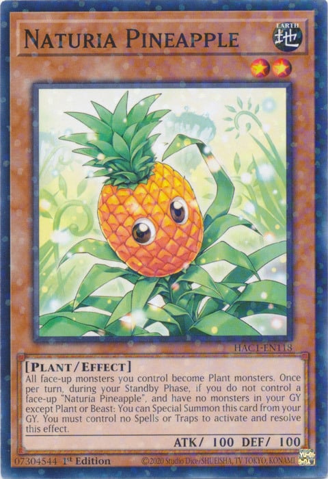 Naturia Pineapple Card Front