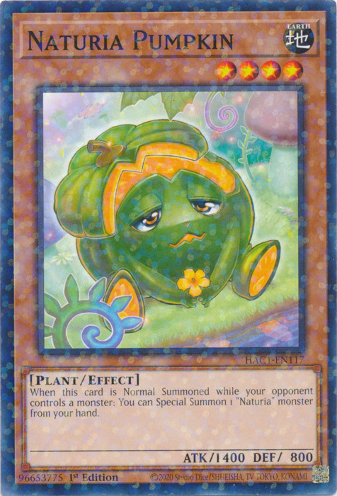 Naturia Pumpkin Card Front