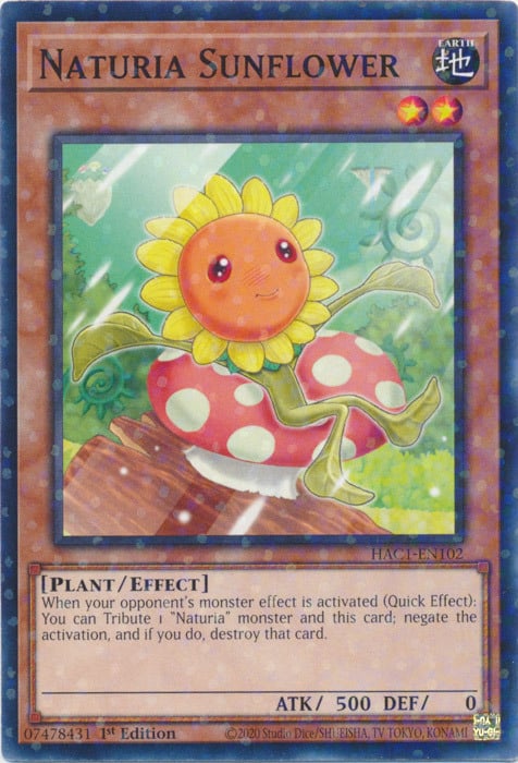 Naturia Sunflower Card Front