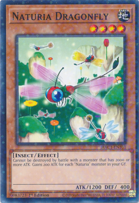 Naturia Dragonfly Card Front
