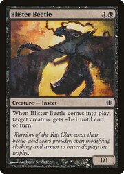 Blister Beetle 066