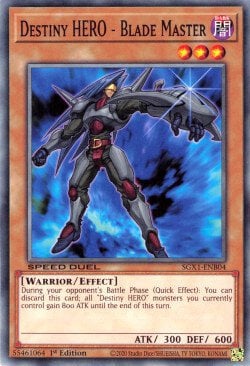 Destiny HERO - Blade Master Card Front