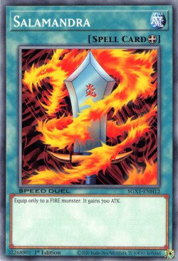 Salamandra Card Front