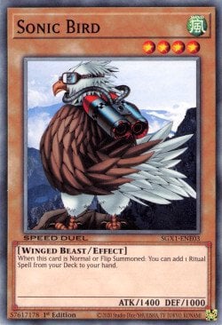 Sonic Bird Card Front