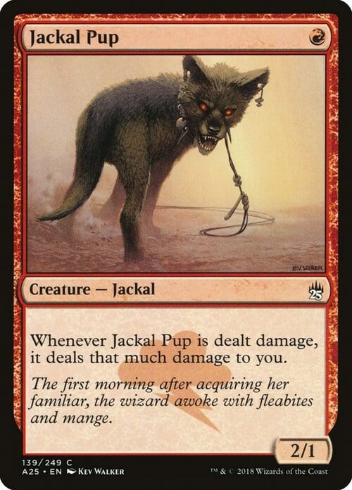 Jackal Pup Card Front