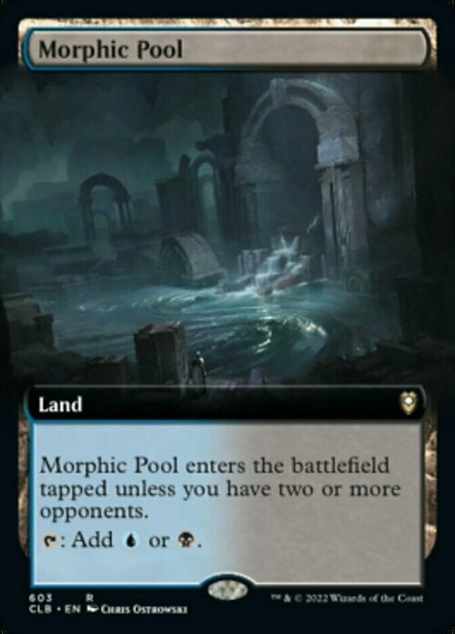 Morphic Pool Card Front